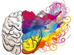 La corteccia prefrontale sinistra (CPS) è la parte del cervello che ci aiuta a vivere le emozioni positive. E’ un dato scientifico, una scoperta delle neuroscienze. Con stimolazioni elettromagnetiche della zona CPS, si riesca a modificare la positività dei ricordi….  Al contrario, la corteccia prefrontale destra (CPD) elabora le emozioni negative.